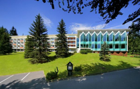Гостиница Interhotel Montana  Шпиндлерув Млын